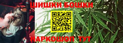 шишки Гай